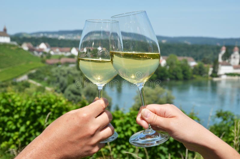 Paia dei bicchieri di vino Rheinau, Svizzera fotografia stock libera da diritti