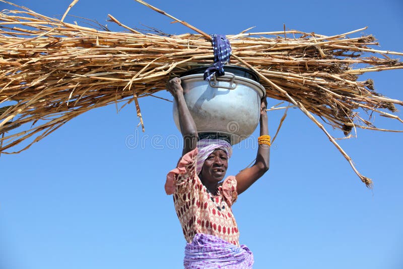 Woman in Africa carrying straw for animal feed. Woman in Africa carrying straw for animal feed