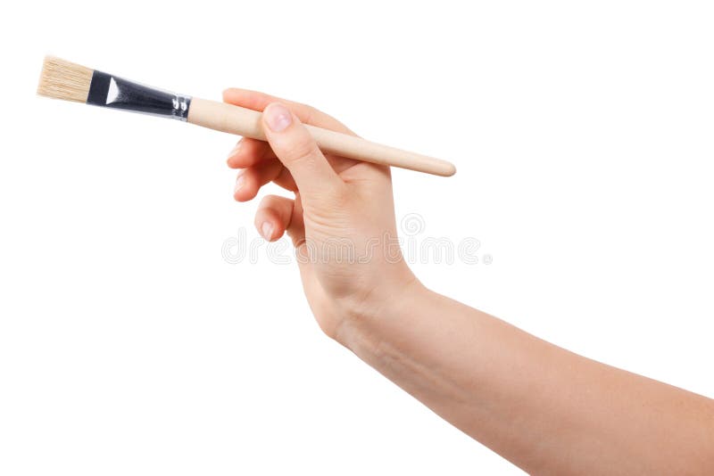 Paint Brush in a Human Hand Stock Image Image of fingers, isolated 25554079