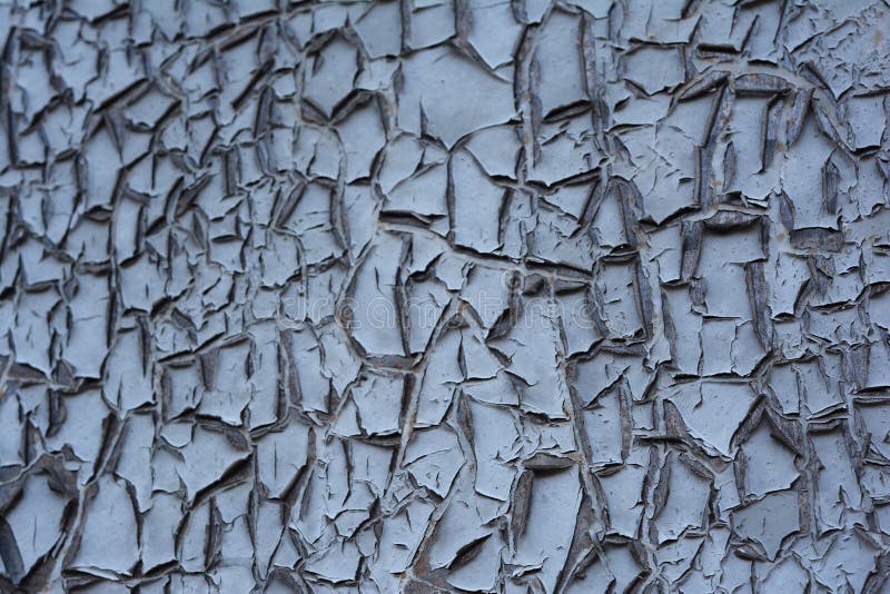 Paint cracks on a metal surface. Common defect in painting such as flaking, alligatoring and checking. Gray painted surface with cracks, defects background.