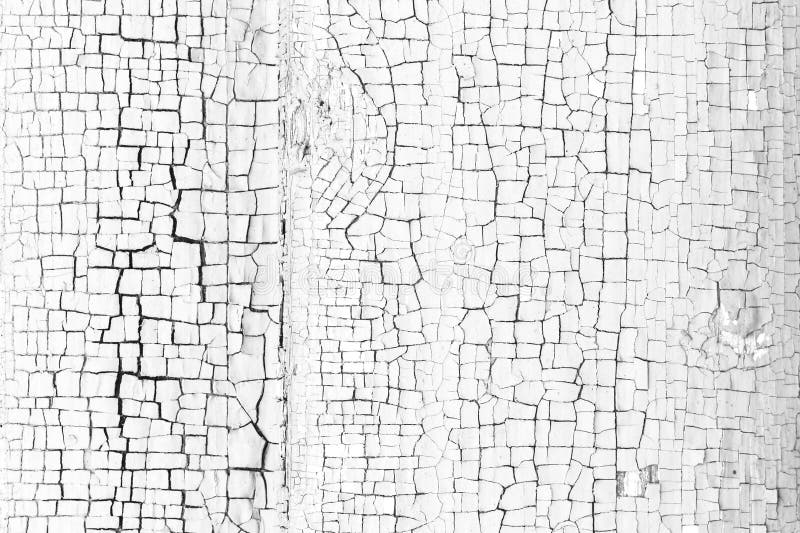 Paint Peeled Off of a Wall in Black&white Stock Photo Image of