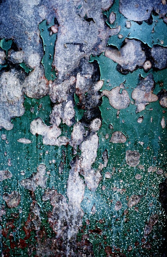 Paint Peeling on Metal Door stock photo