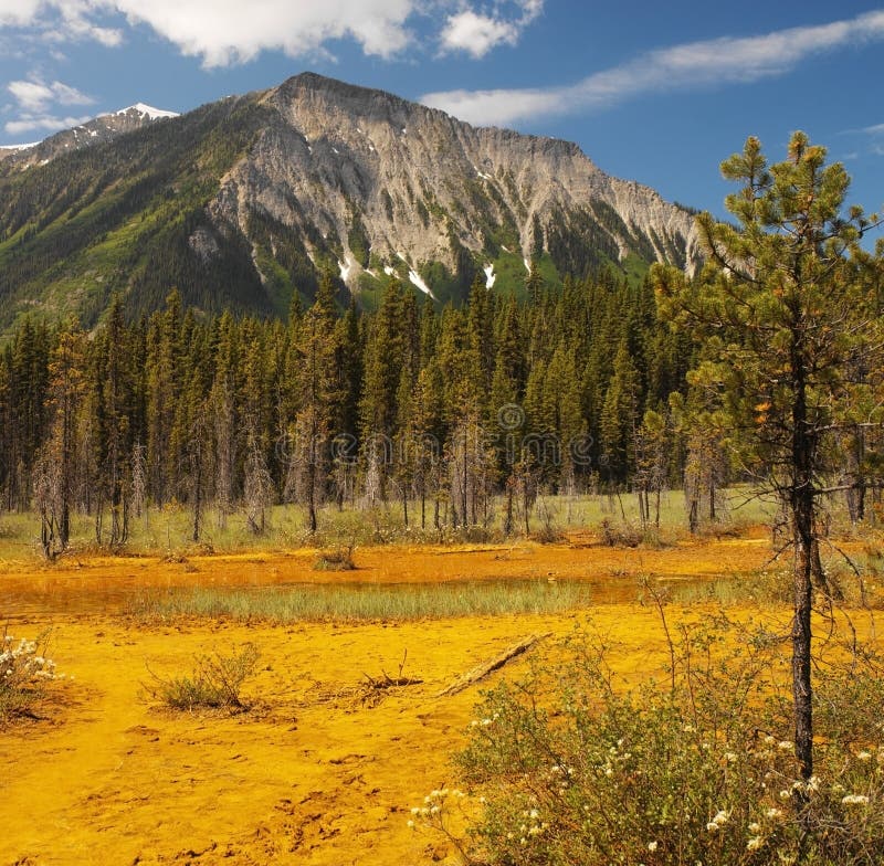 Paint Pots - Kootenay N.P. - Canada