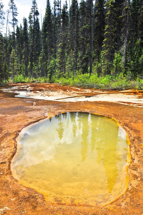 Paint Pots in Kootenay National Park