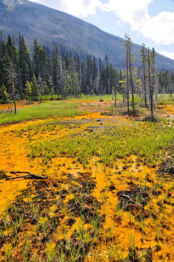 Paint Pots in Kootenay National Park, Canada