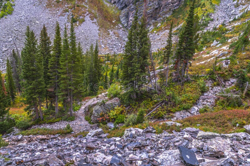 holly lake group site for paintbrush divide holly lake group site for paintbrush divide