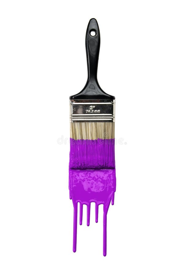 purple paintbrush flower purple paintbrush flower