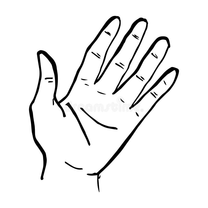 Painted Brush Left Hand Isolated on White Background Stock Vector