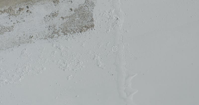 Painted Concrete Ceiling Into White Stock Photo Image Of House