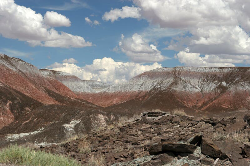 Painted desert