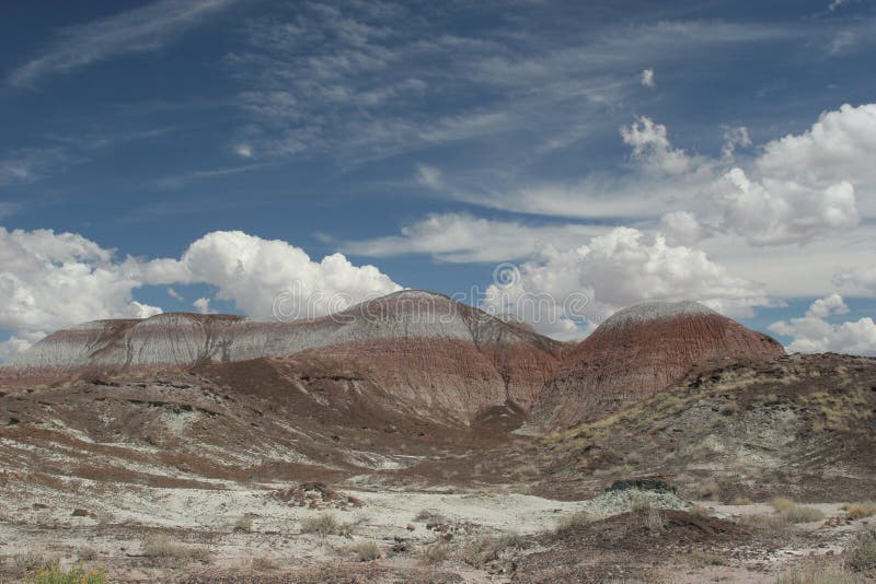 Painted desert