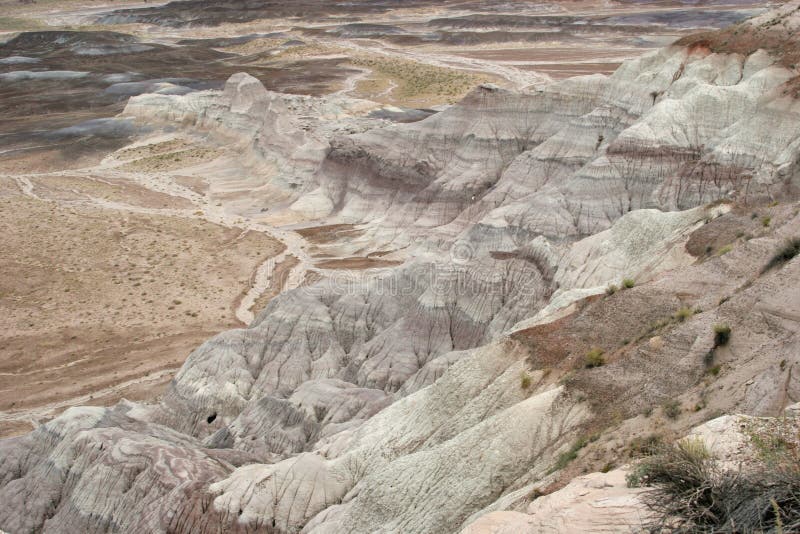 Painted desert landscape