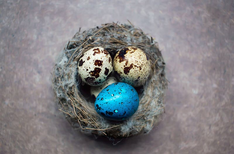 Painted Easter quail eggs stock image. Image of basket 110014931
