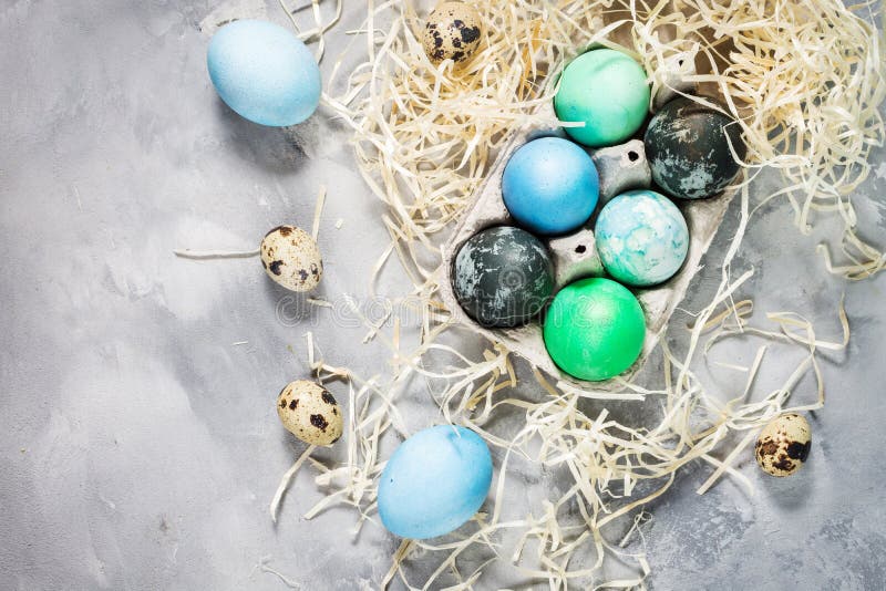 Painted Eggs in Tray, Chicken Eggs, Paint and Brush on Concrete Surface