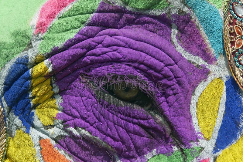Painted Elephant Eye stock photo. Image of elephant, colorful 4678802
