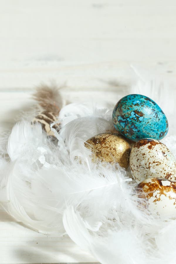 Painted, Gilded Quail Eggs Closeup in a Nest of Bird Feathers on Light