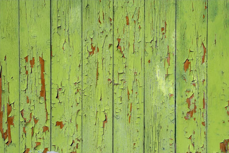 Painted green background royalty free stock images