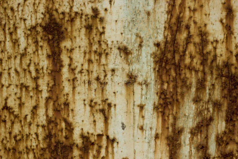 Metal doors in rust stock image. Image of background 140459077