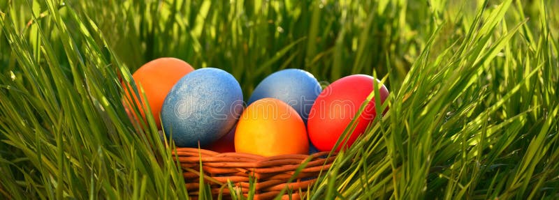 Painted Multicolored Easter Eggs in a Basket in Green Grass. Easter Still Life Stock Photo