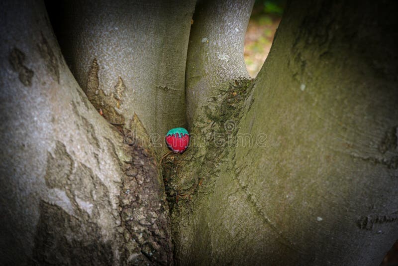 Painted stone stock photo