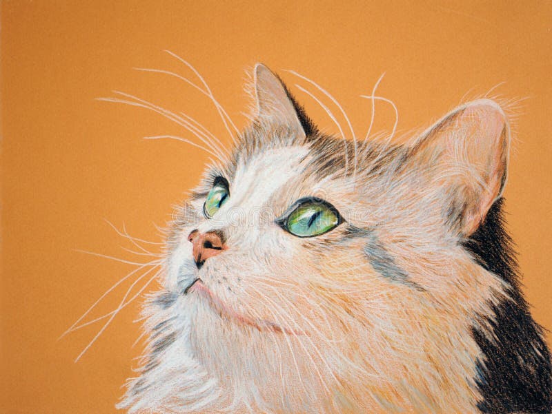 Painting of a Beautiful Cat