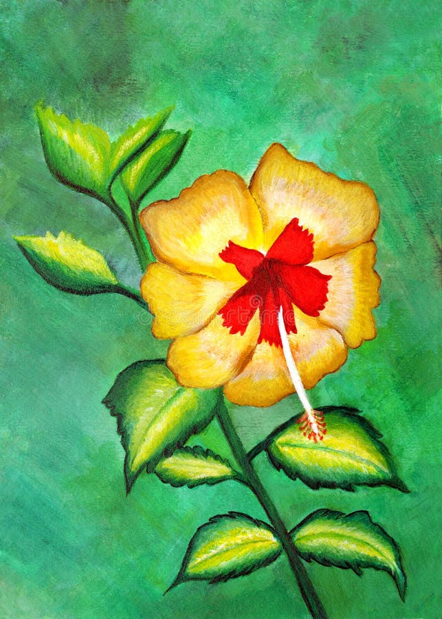 Painting of a beautiful yellow and red hibiscus royalty free illustration Painting of a beautiful yellow and red hibiscus royalty free illustration