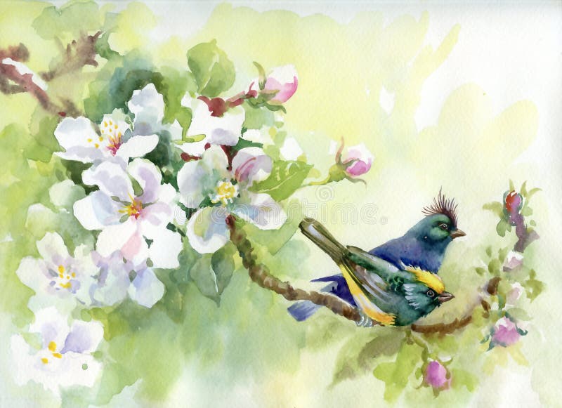 Painting collection Birds of spring stock illustration