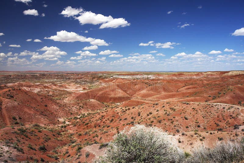 Painting Desert in Petrified Forest NP