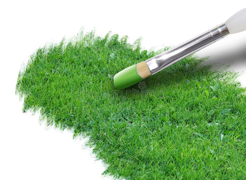Painting Green Grass On White Stock Photo Image of organic, decorator