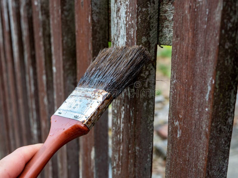 Painting a Old Garden Fence Stock Image Image of brush, park 193885951