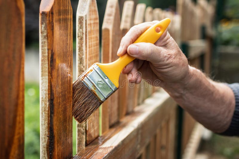 Man Painting a Wooden Picket Fence with Purple Wood Stain and Brush in a  Garden. Stock Photo - Image of natural, nailed: 182923494