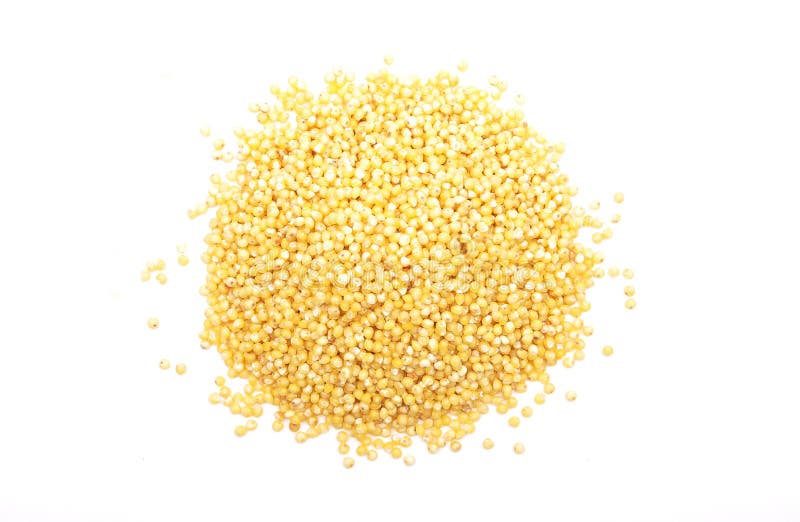 Milho cru em fundo branco fotografia de stock royalty free