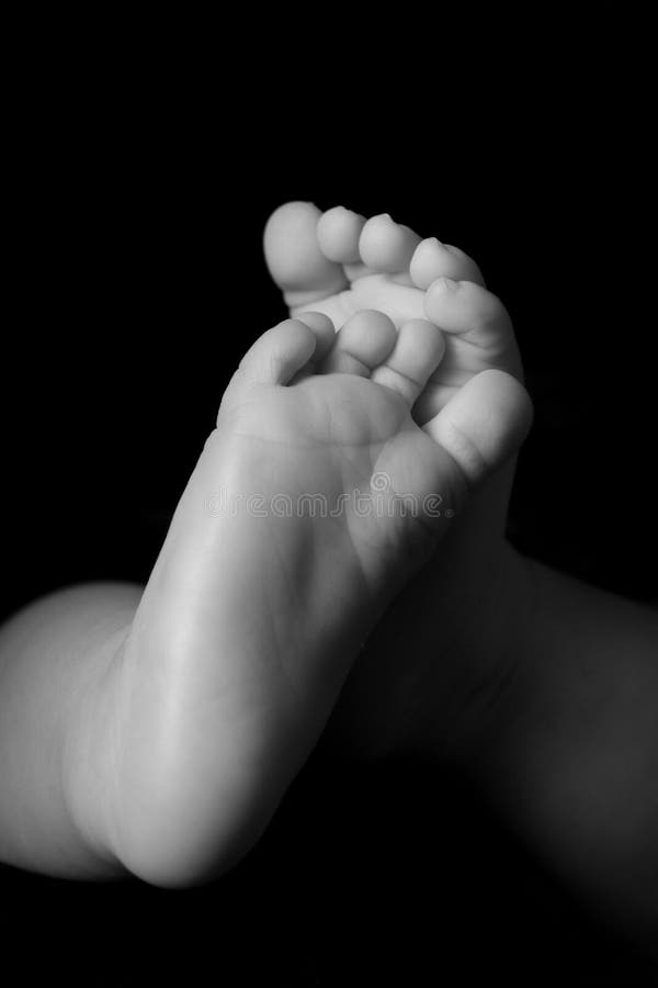 Pair of Baby Feet stock photo. Image of caucasian, pair 11383750