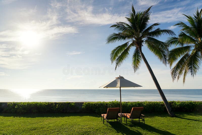 A pair of beach chairs on green grass with big palm tree at sunrise beautiful blue sky beach royalty free stock photos A pair of beach chairs on green grass with big palm tree at sunrise beautiful blue sky beach royalty free stock photos