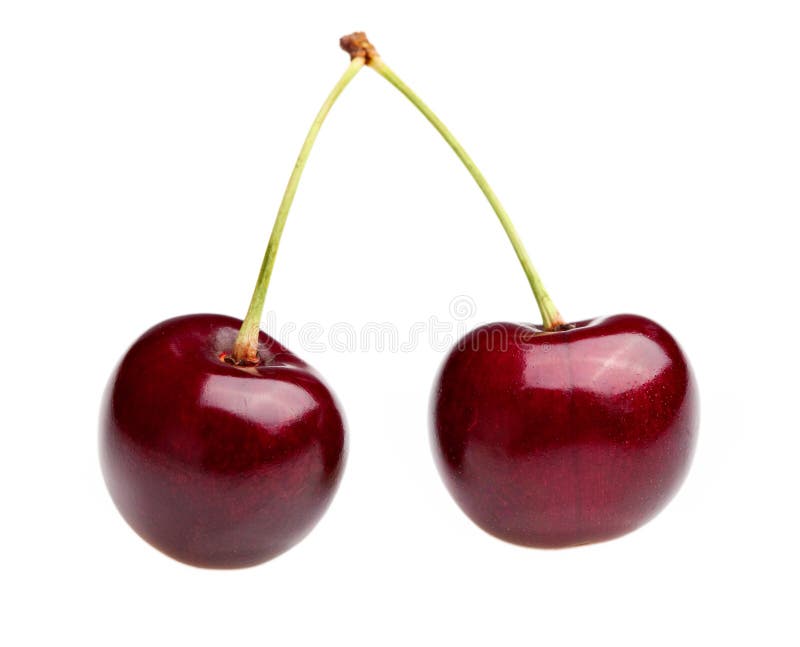 Pair of Cherries stock photo. Image of organic, gorgeous - 15795048