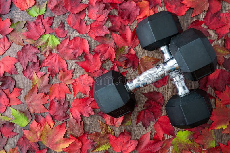 Pair of crossed dumbbells on a rustic wood background covered in fall color of red, green, yellow, and orange maple leaves