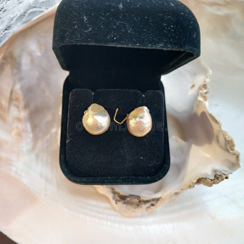 Elegant Gold Earrings in Black Velvet Jewelry Box royalty free stock photos