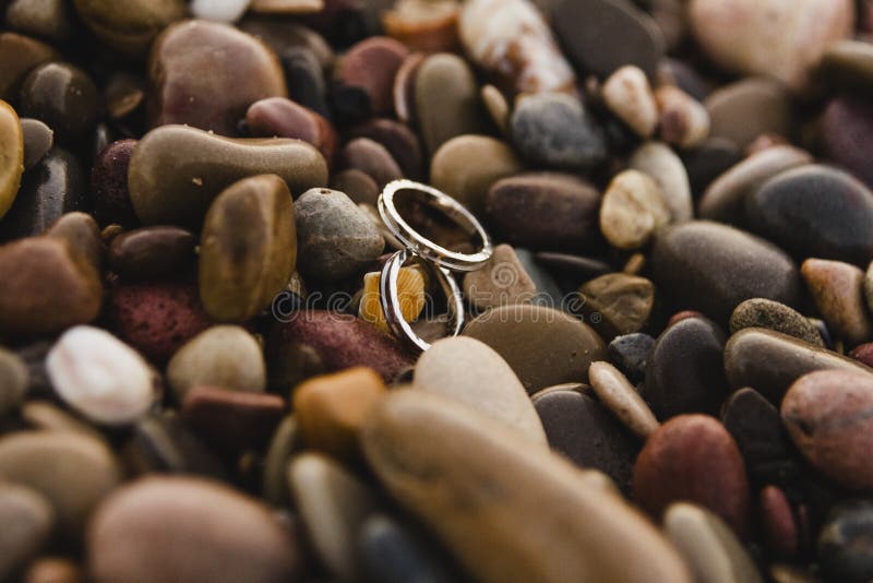 Pair of Elegant Wedding Rings Stock Photo Image of bridal, detail