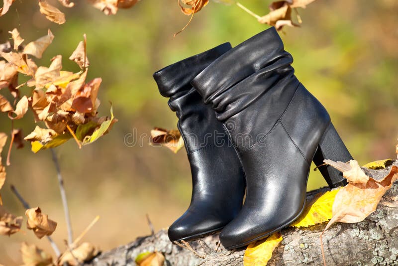 Pair of female boots in autumn park stock images