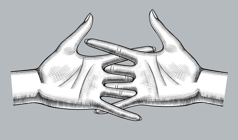 Pair of female hands palm up with woven fingers