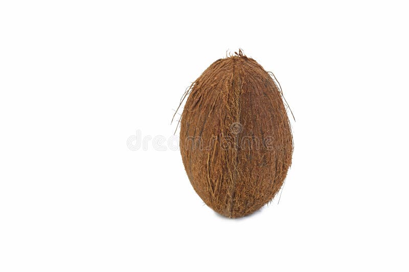 Pair of Fresh Coconut Placed Isolated Over Pure White Background stock images