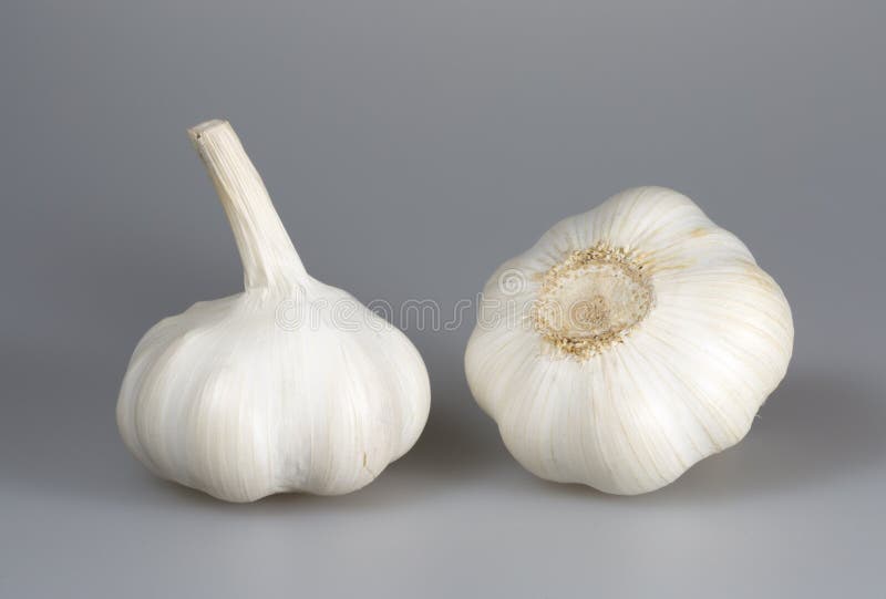 Pair of Garlic Bulbs stock image. Image of garlic, allium 65125527