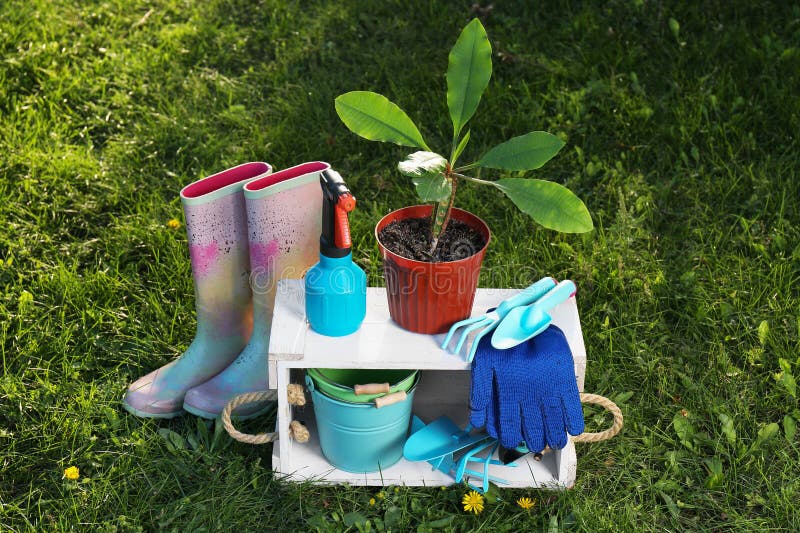 Pair of gloves, gardening tools, potted plant and rubber boots on grass outdoors. Pair working gloves stock images, royalty-free photos and pictures