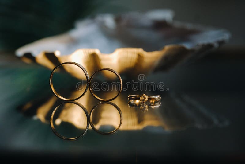 A Pair of Gold Wedding Rings.Two Wedding Rings Stock Image Image of