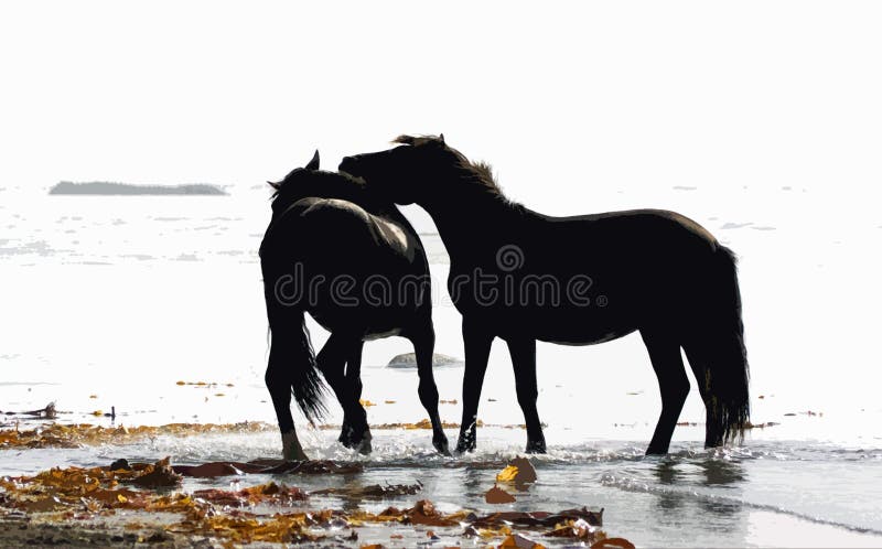 Pair horses wild stock photos Pair horses wild stock photos