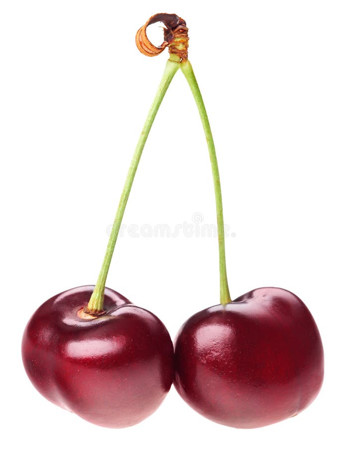 Pair of red ripe cherry fruit with green stem royalty free stock images