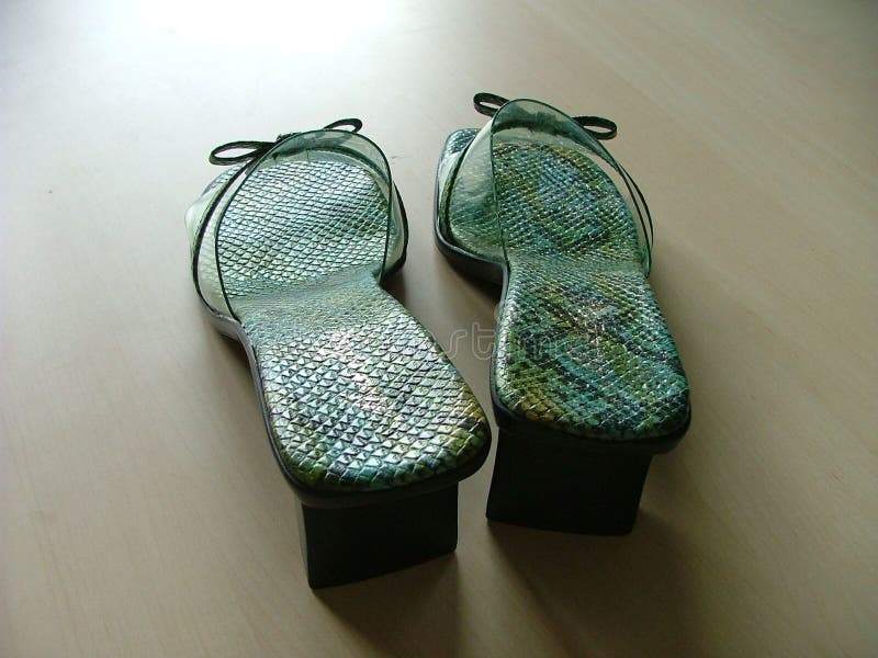 Pair Of Shoes Picture. Image: 127260