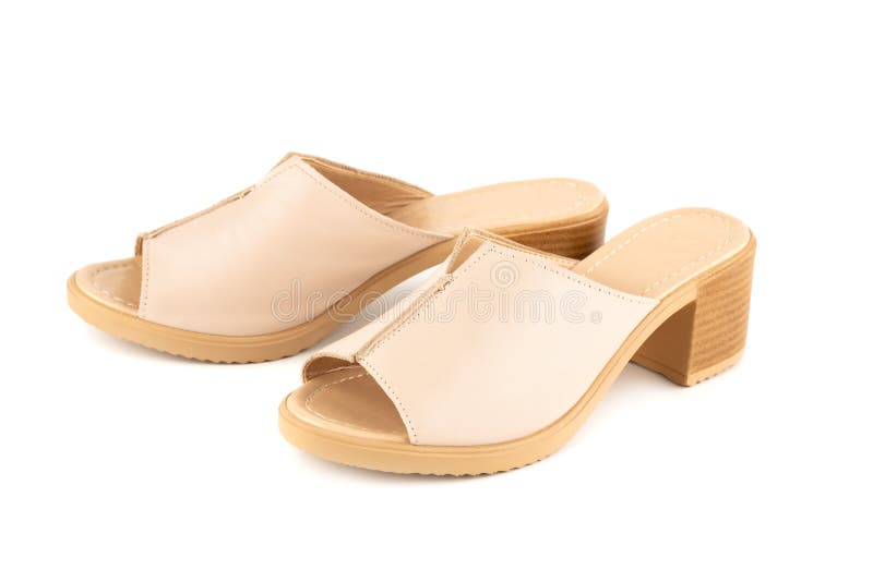 Pair of shoes royalty free stock photo