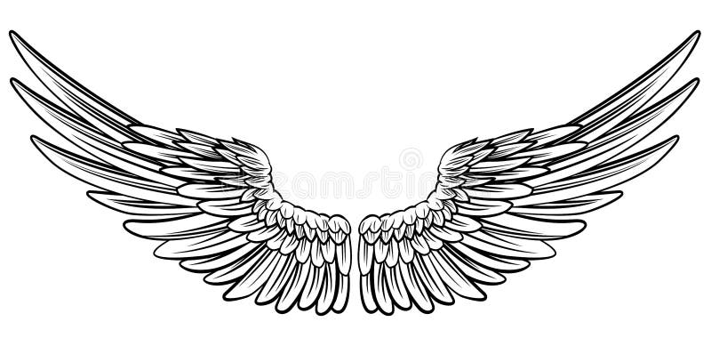 Simple Wing Lines By Freakzter Freebies On Deviantart - Eagle Wings Line  Drawing - Free Transparent PNG Clipart Images Download
