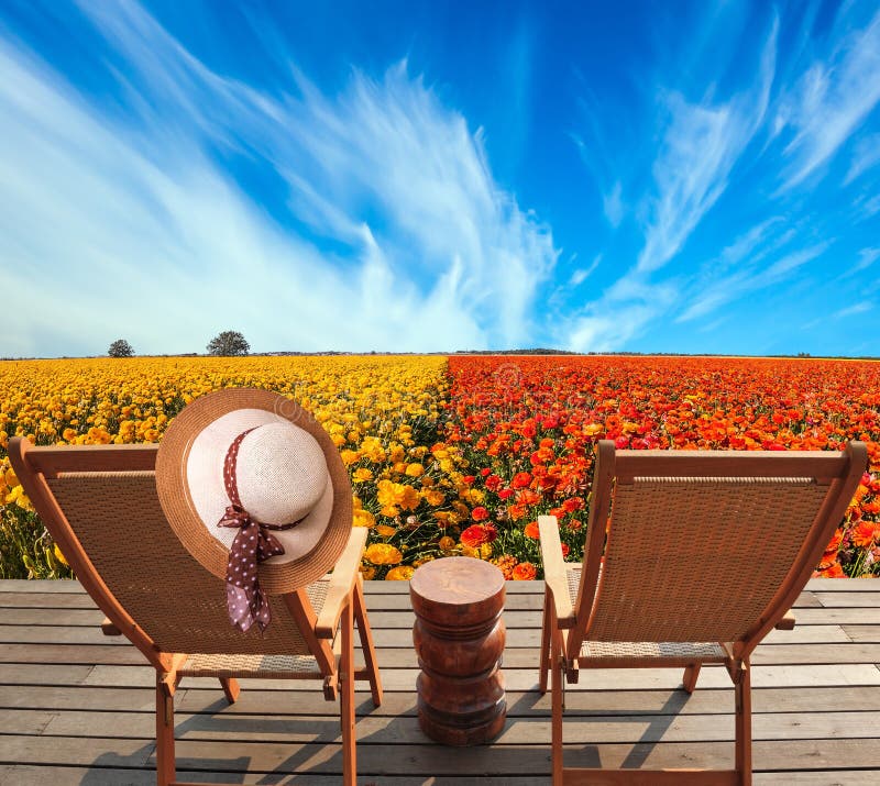 Pair of sun loungers royalty free stock images Pair of sun loungers royalty free stock images